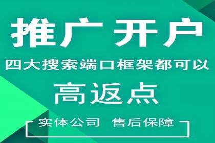 提升转化率：SEM竞价专员的案例研究